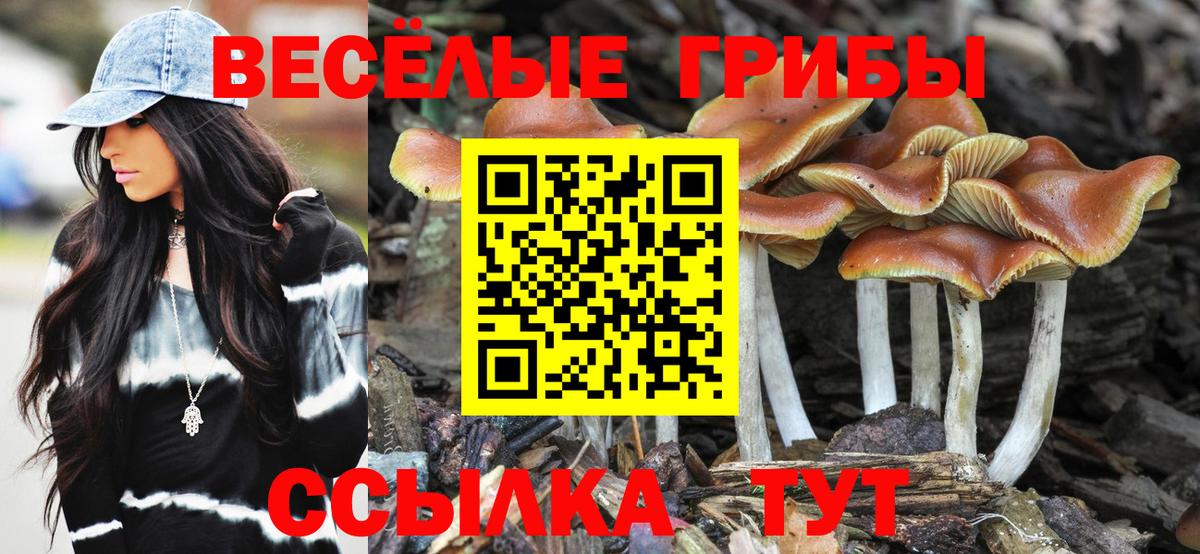 Псилоцибиновые грибы прущие грибы  Вход с VPN  Архангельск  Псилоцибиновые грибы мицелий 